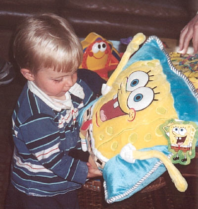 SB Pillow